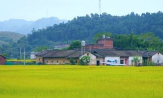 描寫田園風光的作文的開頭