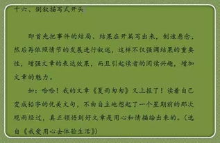 交警的精神品質(zhì)作文開(kāi)頭