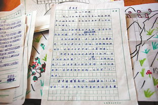 終于開學了作文開頭