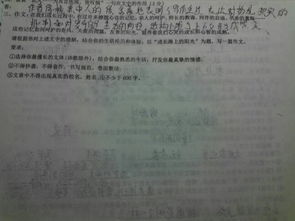 工作成長之路作文開頭