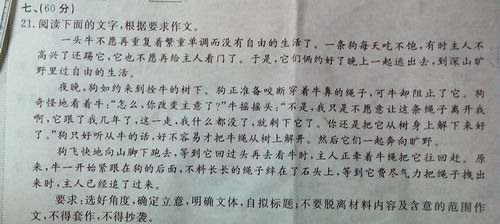 他辛苦了作文開頭寫清潔工