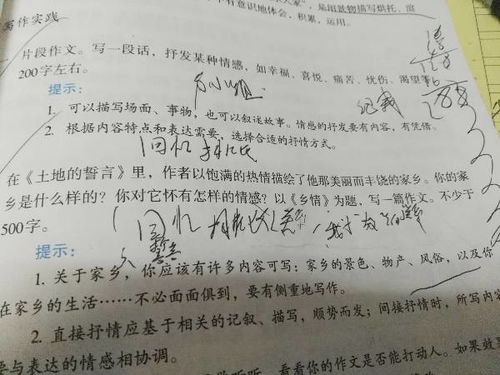 鄉(xiāng)情作文初一開頭