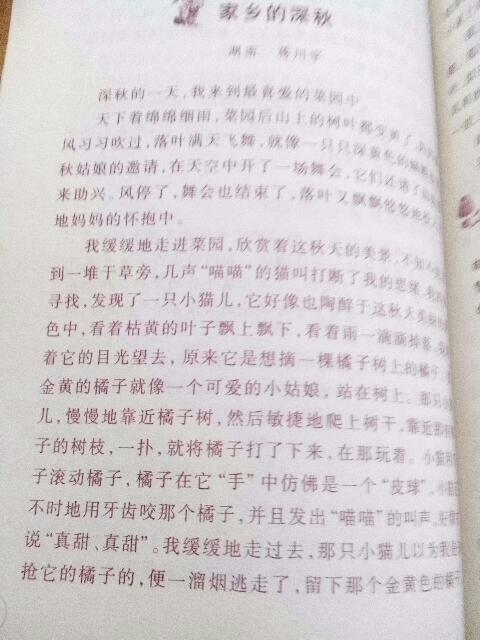 寫家鄉(xiāng)風(fēng)景600字作文開頭