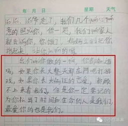 父母其實你不懂我心作文開頭