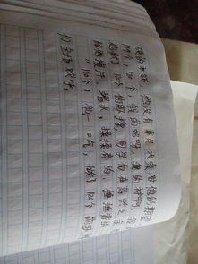 遺憾作文開頭結尾大全