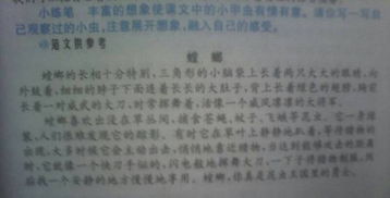 關(guān)于觀察蟲子的作文(關(guān)于觀察蟲子的作文)