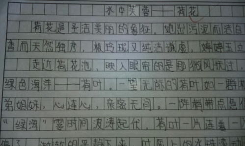 我思考溺水的原因開(kāi)頭作文