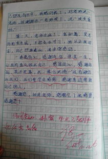 敬佩他人的作文開頭或結尾