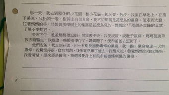 這是的一次嘗試作文600字作文開頭