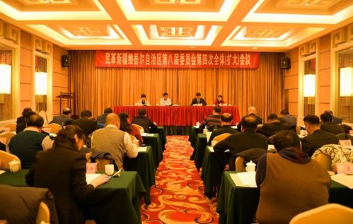 民革主委述職報告(主委述職報告參考)