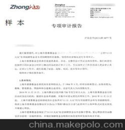 專項審計報告范文(專項審計報告范文)