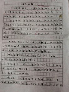 幸福的家100字作文開頭結(jié)尾