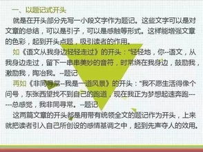 當一回老師作文開頭