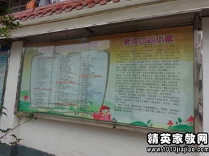 畢業(yè)聯(lián)歡會作文精彩開頭