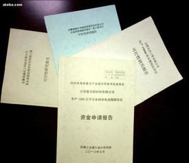 廣告費(fèi)用申請(qǐng)報(bào)告(廣告費(fèi)用申請(qǐng)報(bào)告精選)