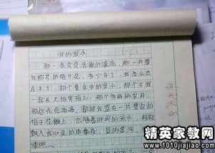 一次運(yùn)動(dòng)會(huì)500字作文開頭結(jié)尾