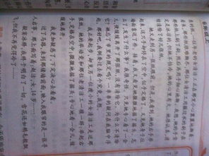 三級寫別人關(guān)愛我的作文開頭結(jié)尾怎么寫