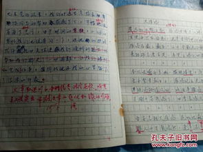 小學(xué)考試通用題材作文開頭