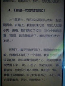 那是一次什么樣的嘗試作文開頭結(jié)尾