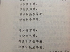 美麗的守候用比興式作文開頭