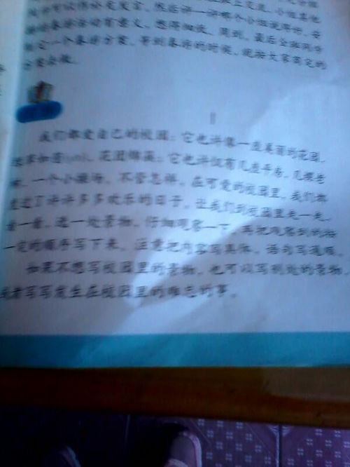 描寫校園一處景物作文開頭