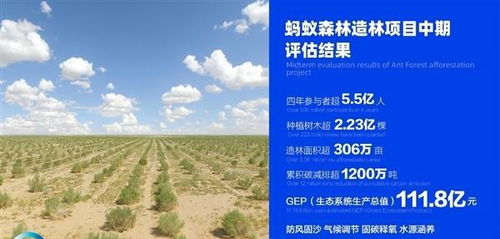 螞蟻森林作文(螞蟻森林美文)