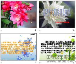 其實(shí)很美高中作文開頭