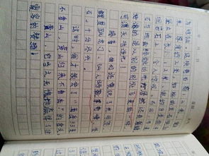 記事作文好開頭100字