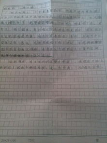 我的一個(gè)小伙伴600字作文開頭