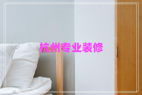 杭州專業(yè)裝修