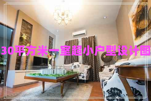 30平方米一室超小戶型設計圖