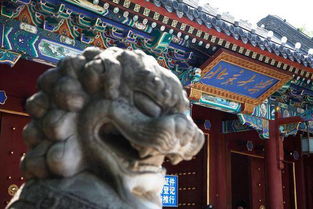 怎么看待自考北京大學本科學歷