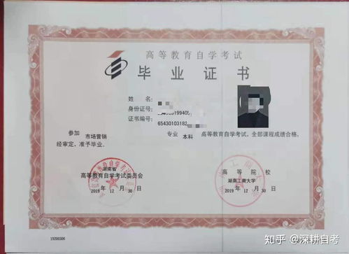 自考本科什么專業(yè)