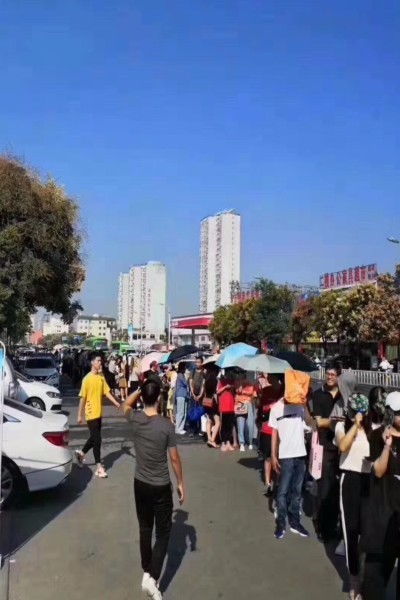 河南省自考本科服務(wù)平臺(tái)官網(wǎng)