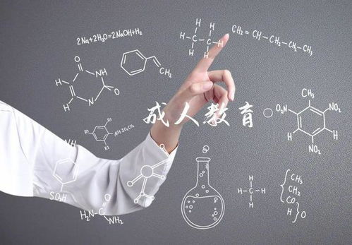 自考本科小教綜合素質(zhì)