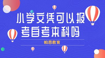 大專(zhuān)輟學(xué)自考本科容易嗎