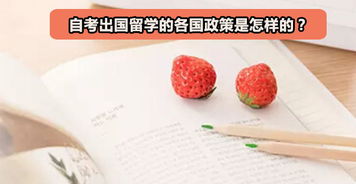 公立學(xué)校承認(rèn)自考本科嗎