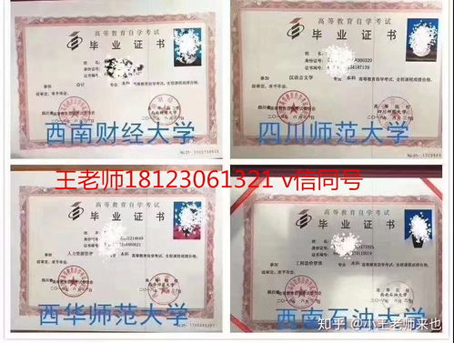 自考本科女生適合什么專業(yè)