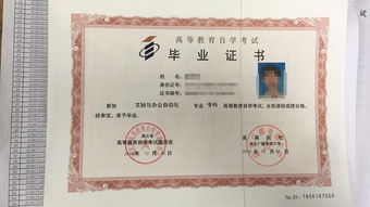 自考本科專業(yè)課程選擇