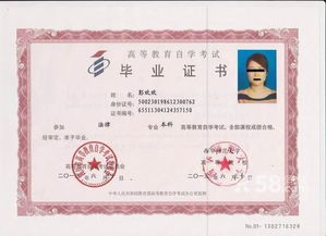 有網(wǎng)絡(luò)本科再自考本科