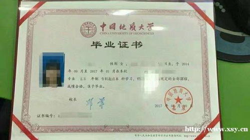 遠(yuǎn)程專科能報(bào)自考本科