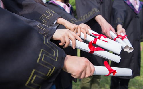 自考本科生復(fù)試需要帶什么