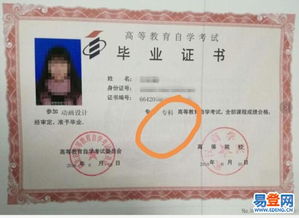 ?？谱钥急究茍罂紩r間