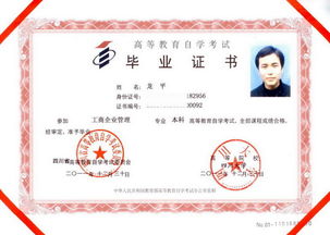 大專出來自考本科