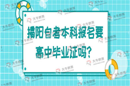 建議剛高中畢業(yè)不要去自考本科