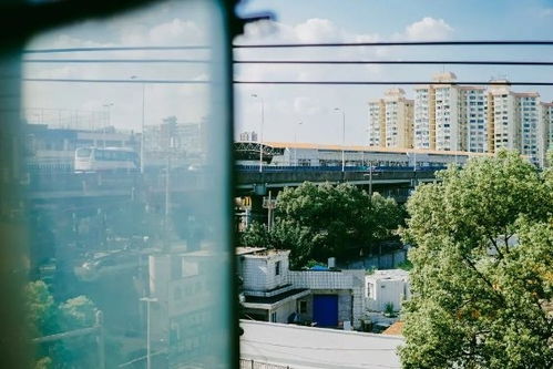 自考本科值不值