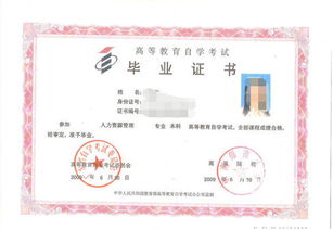 書法自考本科學(xué)校