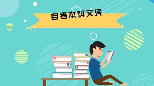 自考里面基礎(chǔ)段和本科段的區(qū)別