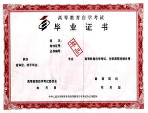 上外日語(yǔ)本科自考證書