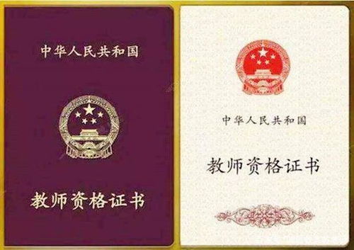 自考本科的可以考編制嗎